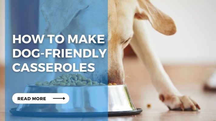 How to Make Dog-Friendly Casseroles