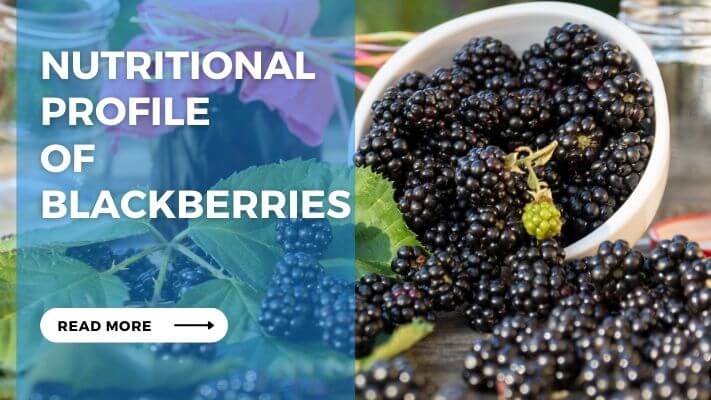 Nutritional Profile of Blackberries