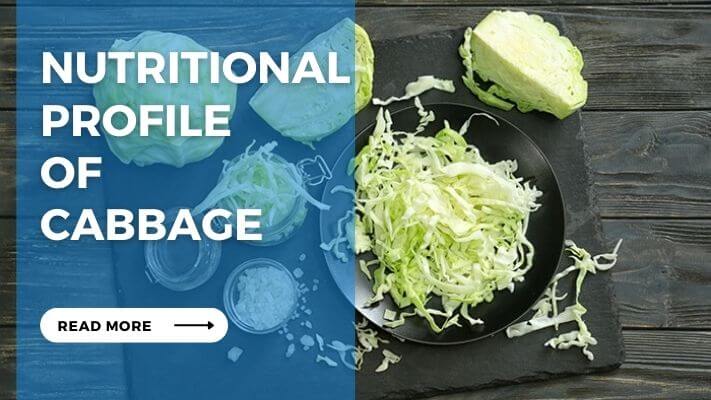 Nutritional Profile of Cabbage