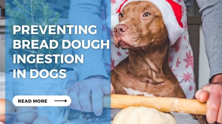 Preventing Bread Dough Ingestion in Dogs