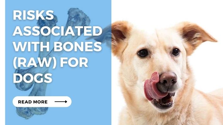 Risks Associated with Bones (Raw) for Dogs