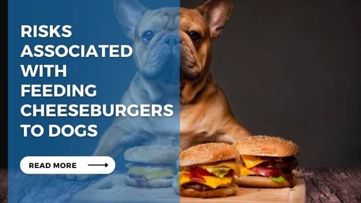 Risks Associated with Feeding Cheeseburgers to Dogs