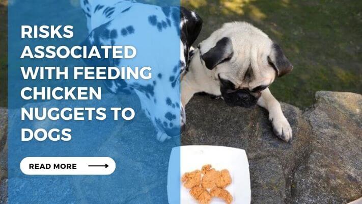 Risks Associated with Feeding Chicken Nuggets to Dogs