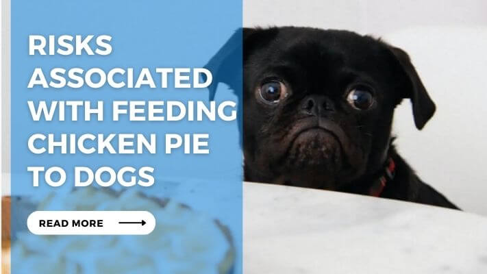 Risks Associated with Feeding Chicken Pie to Dogs