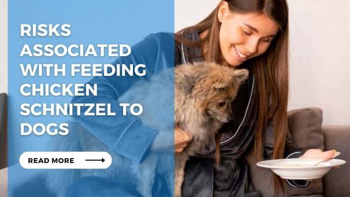 Risks Associated with Feeding Chicken Schnitzel to Dogs