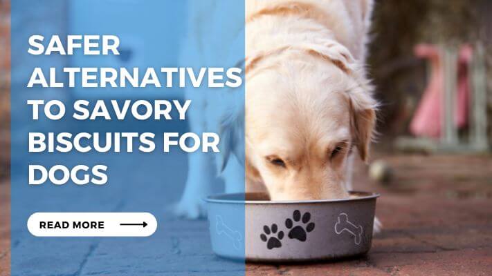 Safer Alternatives to Savory Biscuits for Dogs