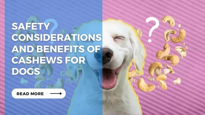 Safety Considerations and Benefits of Cashews for Dogs
