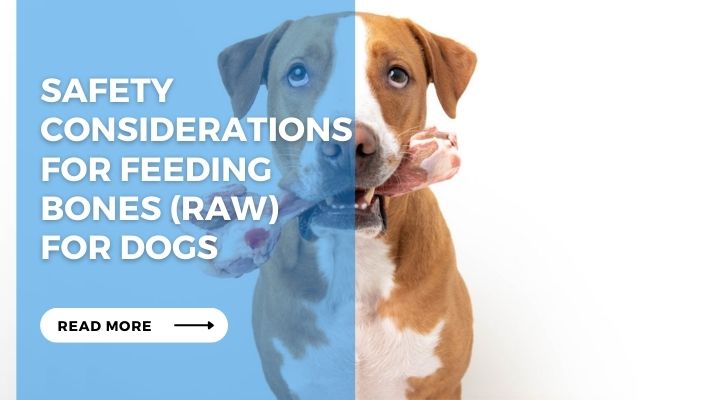 Safety Considerations for Feeding Bones (Raw) for Dogs