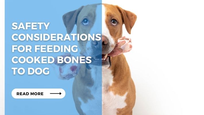 Safety Considerations for Feeding Cooked Bones to Dog