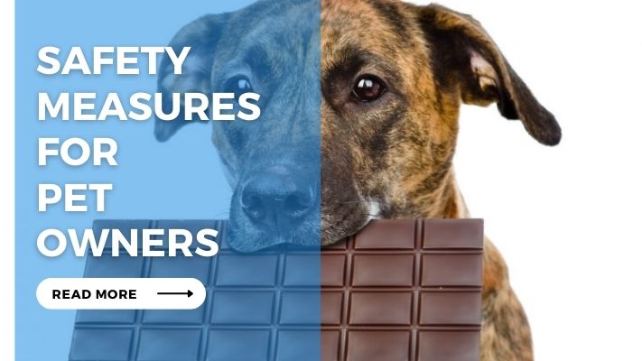Safety Measures for Pet Owners