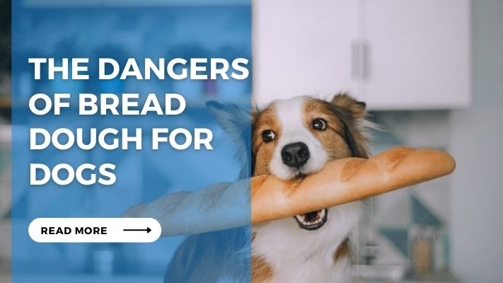 The Dangers of Bread Dough for Dogs