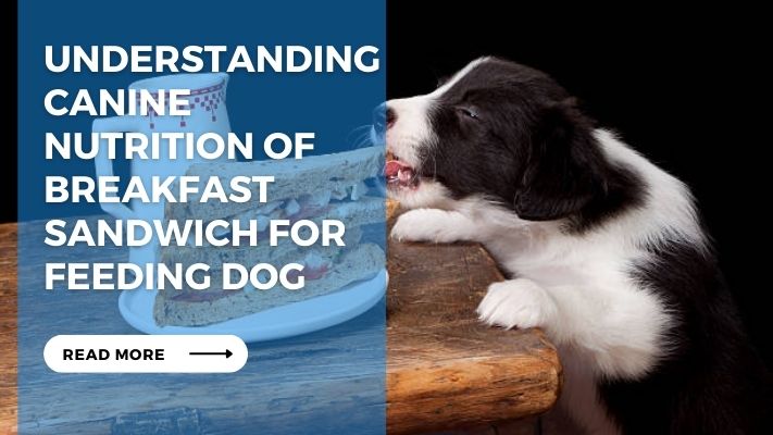 Understanding Canine Nutrition of Breakfast Sandwich for feeding Dog