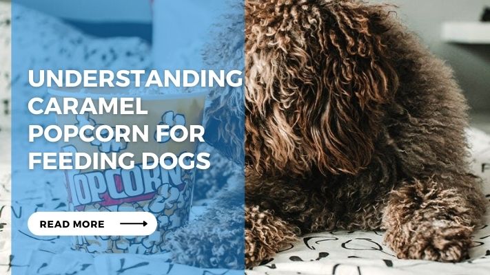 Understanding Caramel Popcorn for Feeding Dogs