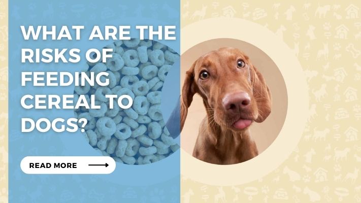 What are the Risks of Feeding Cereal to Dogs